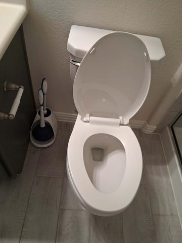 A clean toilet seat and hinges, a detail we always cover.