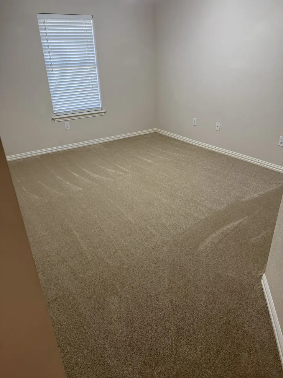 Empty room with freshly vacuumed carpet after a move-out cleaning
